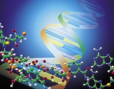 科学宣告了生命预测的可能性