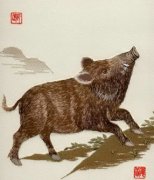 中国十二属相起名文化：生肖属猪起名注意事项