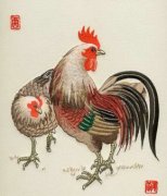 中国十二属相起名文化：生肖属鸡起名注意事项