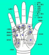 易学预测;教你认识手相预测健康知识